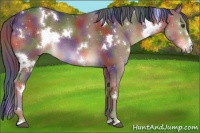 Horse Color:Nacre White Spotted Liver Chestnut