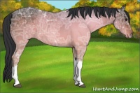 Horse Color:Brown Ice Tobiano Rabicano