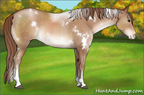 Horse Color:White Spotted Chocolate Brown Pearl Tobiano Varnish 