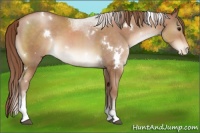 Horse Color:White Spotted Chocolate Brown Pearl Tobiano Varnish 