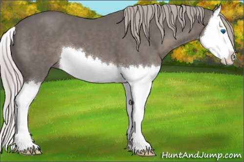 Horse Color:Silver Black Sabino Splash 
