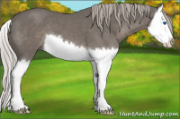 Horse Color:Silver Black Sabino Splash