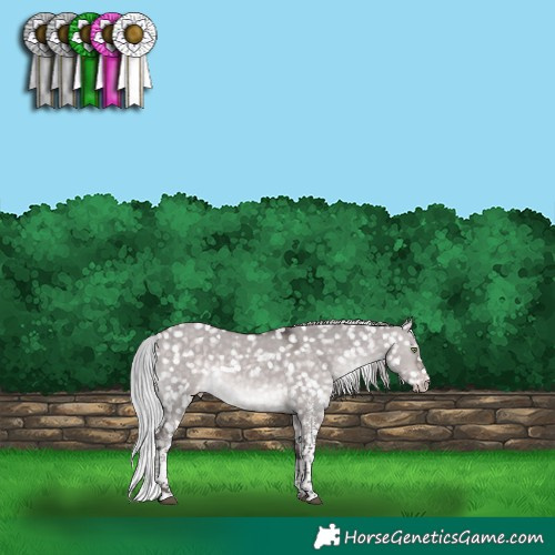 Horse Color:Platinum White Spotted Silver Brown Dun Tobiano Appaloosa Rabicano 