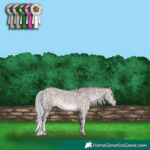 Horse Color:Platinum White Spotted Silver Brown Dun Tobiano Snowflake VarnishRabicano 