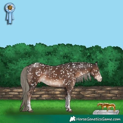 Horse Color:White Spotted Liver Chestnut Mushroom Tobiano Snowflake VarnishRabicano