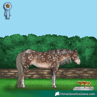 Horse Color:White Spotted Liver Chestnut Mushroom Tobiano Snowflake VarnishRabicano 