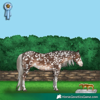 Horse Color:White Spotted Liver Chestnut Mushroom Tobiano Appaloosa Rabicano 
