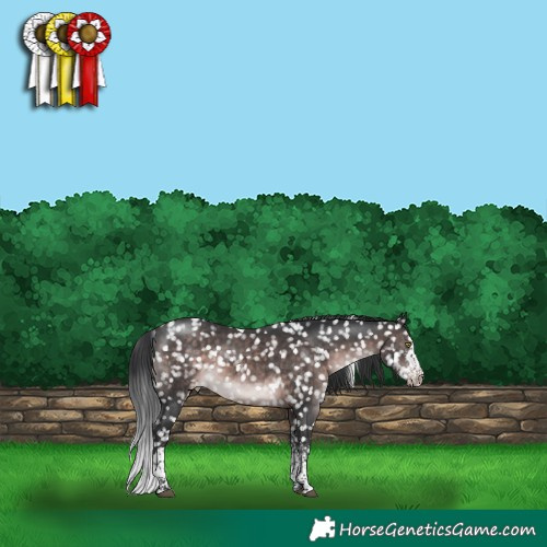 Horse Color:Platinum White Spotted Brown Tobiano Appaloosa Rabicano 
