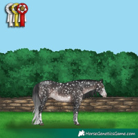Horse Color:Platinum White Spotted Brown Tobiano Snowflake VarnishRabicano 