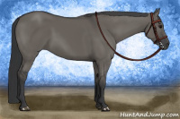 Horse Color:Grullo Sabino Rabicano 