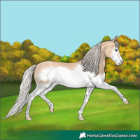 Horse Color:Silver Classic Champagne Dun Splash Frame 