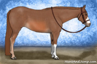 Horse Color:Red Roan 