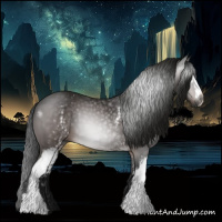 Horse Color:Gray White Spotted Bay 