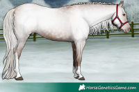 Horse Color:Gray Silver Black Pearl Tobiano 