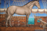 Horse Color:Black Pearl Sabino 