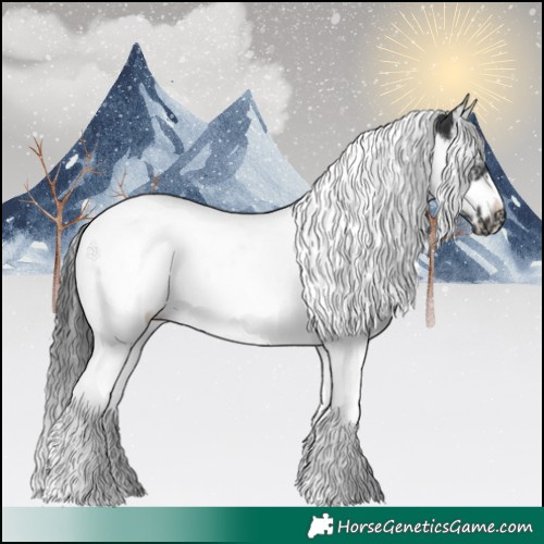 Horse Color:Black Splash Tobiano Frame 