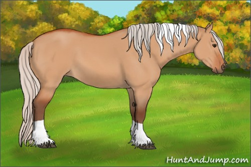 Horse Color:Silver Bay Dun Tobiano 