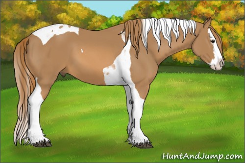 Horse Color:Chestnut Splash Tobiano 