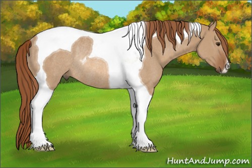 Horse Color:Red Dun Tobiano Rabicano 