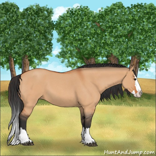 Horse Color:Bay Roan Dun Splash
