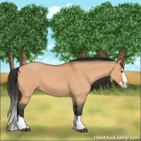 Horse Color:Bay Roan Dun Splash 