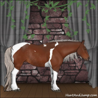 Horse Color:Silver Brown Tobiano Rabicano 