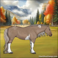 Horse Color:Silver Grullo Tobiano 