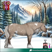 Horse Color:White Spotted Silver Grullo 