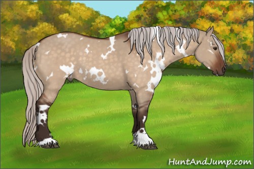 Horse Color:White Spotted Silver Brown Dun 