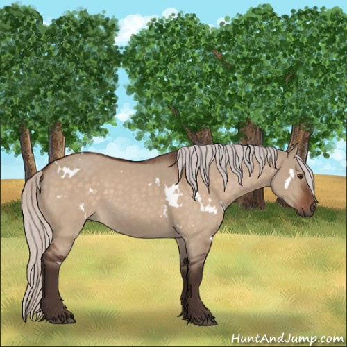 Horse Color:White Spotted Silver Brown Dun 