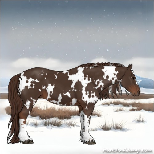 Horse Color:White Spotted Liver Chestnut 