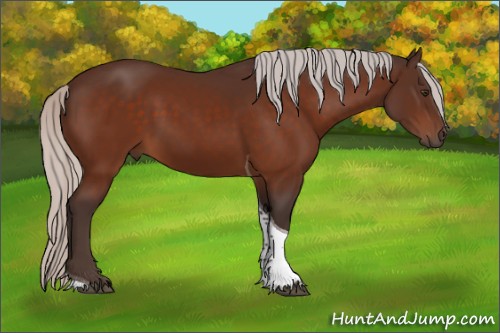 Horse Color:Silver Brown Tobiano 