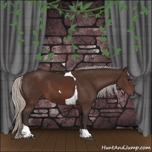 Horse Color:Silver Brown Tobiano 