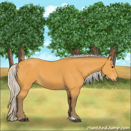 Horse Color:Silver Buckskin Tobiano