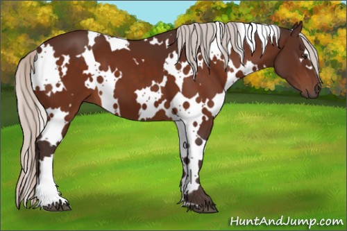 Horse Color:White Spotted Silver Brown 