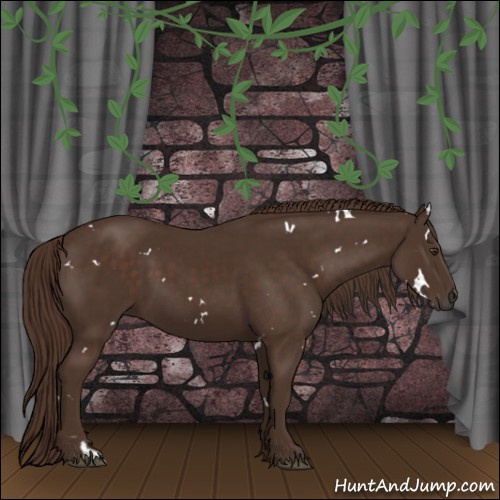 Horse Color:White Spotted Liver Chestnut 