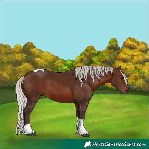 Horse Color:Silver Brown Tobiano 