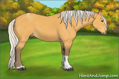Horse Color:Silver Buckskin Tobiano 