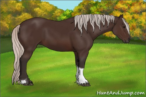 Horse Color:Silver Brown Tobiano 