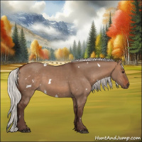 Horse Color:White Spotted Silver Bay Dun