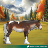 Horse Color:Silver Brown Sabino Tobiano Frame