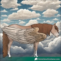 Horse Color:Black Pearl Sabino
