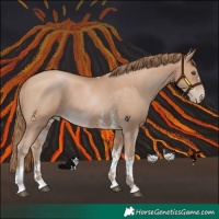 Horse Color:Black Pearl Sabino Tobiano