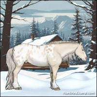 Horse Color:White Spotted Silver Smoky Grullo Pearl Tobiano Frame Appaloosa