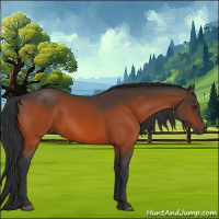 Horse Color:Brown 