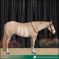 Horse Color:Black Pearl Sabino 