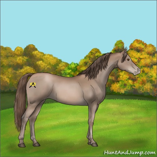 Horse Color:Black Pearl Sabino