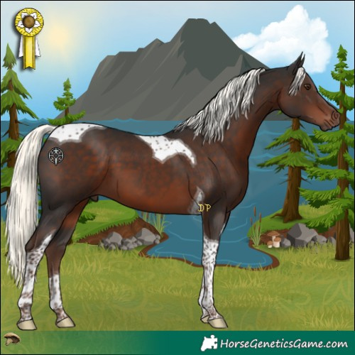 Horse Color:Liver Chestnut Mushroom Tobiano 
