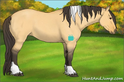 Horse Color:Buckskin Roan Dun Tobiano