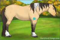 Horse Color:Buckskin Roan Dun Tobiano 